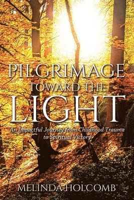 bokomslag Pilgrimage Toward The Light