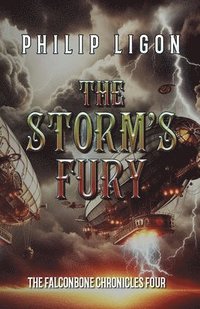 bokomslag Storm's Fury