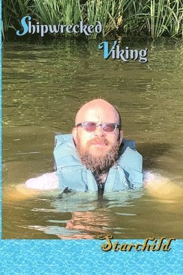 bokomslag Shipwrecked Viking