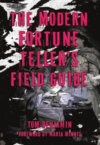 bokomslag The Modern Fortune-Teller's Field Guide