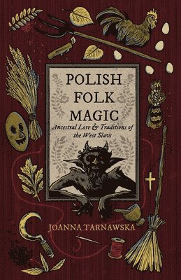 bokomslag Polish Folk Magic