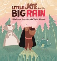 bokomslag Little Joe and the Big Rain