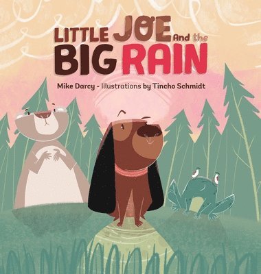 Mike Darcy, Sam Wright - Little Joe and the Big Rain, Inbunden