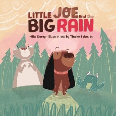 Mike Darcy, Sam Wright - Little Joe and the Big Rain, Häftad