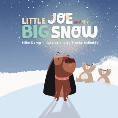 Mike Darcy, Rebekah Becker - Little Joe and the Big Snow, Häftad