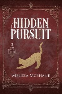 bokomslag Hidden Pursuit