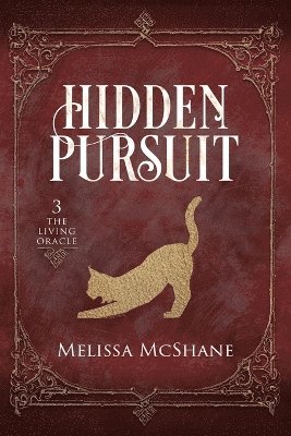 bokomslag Hidden Pursuit