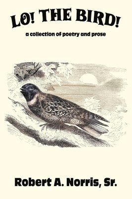Lo! The Bird!