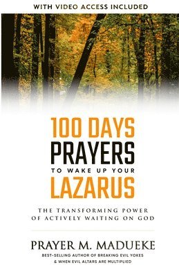 bokomslag 100 Days Prayers to Wake Up Your Lazarus in 2023: The Transforming Power of Actively Waiting on God