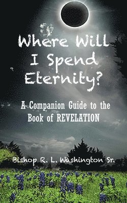Rodrick L Washington, Rodrick L. Washington - Where Will I Spend Eternity?, Häftad