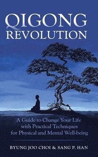 bokomslag Qigong Revolution