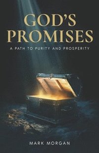 bokomslag God's Promises a Path to Purity and Prosperity