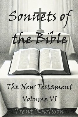 bokomslag Sonnets of the Bible: The New Testament: Volume VI