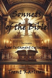 bokomslag Sonnets of the Bible