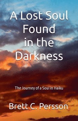 bokomslag Lost Soul Found in the Darkness
