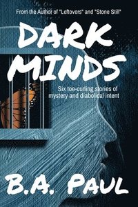 bokomslag Dark Minds