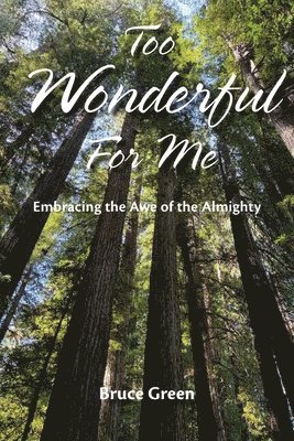Too Wonderful for Me 1