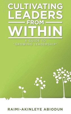 Abiodun Raimi-Akinleye - Cultivating Leaders from Within, Inbunden