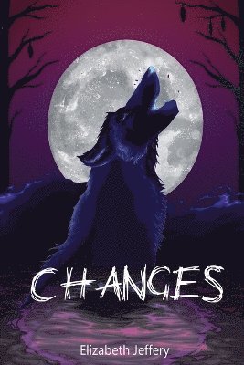 bokomslag Changes