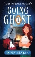bokomslag Going Ghost
