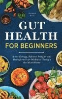 bokomslag Gut Health for Beginners