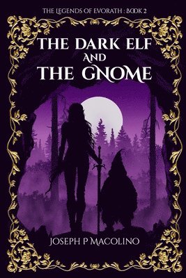 bokomslag Dark Elf and the Gnome