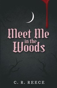 bokomslag Meet Me in the Woods