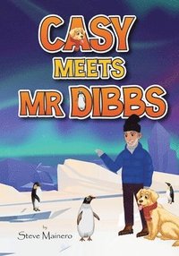 bokomslag Casy Meets Mr. Dibbs