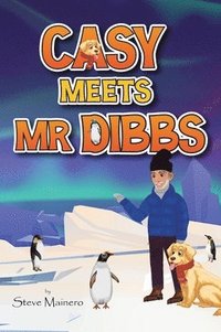 bokomslag Casy Meets Mr. Dibbs