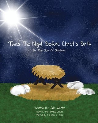 bokomslag 'Twas the Night Before Christ's Birth