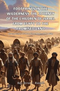 bokomslag Footprints In The Wilderness The Journey Of The Children of Israel From Egypt To The Promised Land