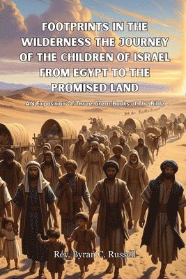 bokomslag Footprints In The Wilderness The Journey Of The Children of Israel From Egypt To The Promised Land