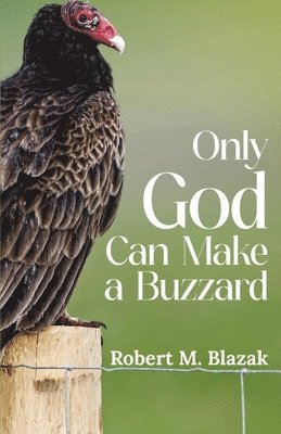 bokomslag Only God Can Make A Buzzard (Latest Edition)