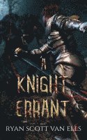 bokomslag A Knight Errant