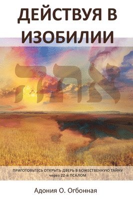 Russian Edition - Operating in Abundance 1