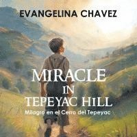 bokomslag Miracle in Tepeyac Hill