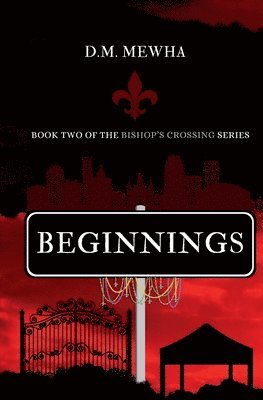 bokomslag Beginnings