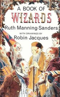 bokomslag Book of Wizards