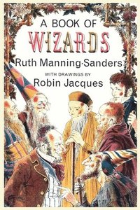 bokomslag Book of Wizards