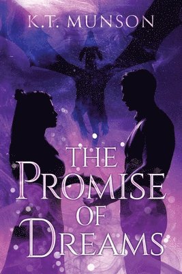 bokomslag Promise of Dreams