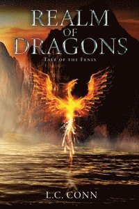 bokomslag Realm of Dragons: Tale of Fenix