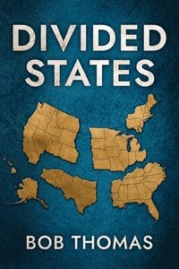 bokomslag Divided States