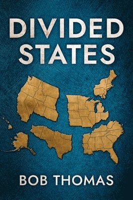 bokomslag Divided States