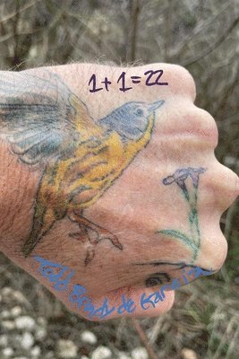 Todd Brady de Garcia - 1+1= 22, Häftad