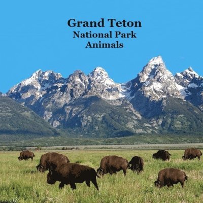 Grand Teton National Park Animals Kids Book 1