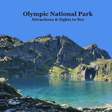 bokomslag Olympic National Park Attractions and Sights to See Kids Book