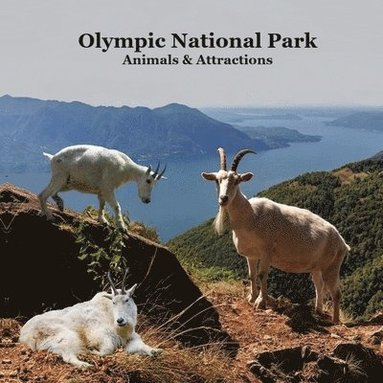 bokomslag Olympic National Park Animals and Attractions Kids Book