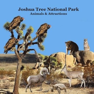 bokomslag Joshua Tree National Park Animals and Attractions Kids Book