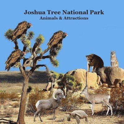 Joshua Tree National Park Animals and Attractions Kids Book 1