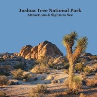 bokomslag Joshua Tree National Park Attractions and Sights to See Kids